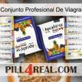 Viagra Professional Set 12